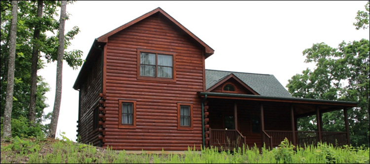 Professional Log Home Borate Application  Cumberland County, Virginia